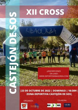CARTEL XII CROSS CASTEJON-001