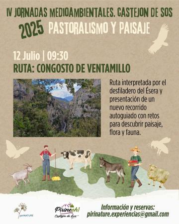 Image Cartel Actividad 12-07-25