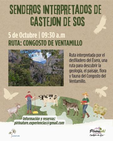 Image IMG-20250930-WA0001