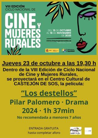 Image Cartel Los destellos Pilar Palomero jpg